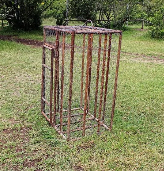 Pocos cage
